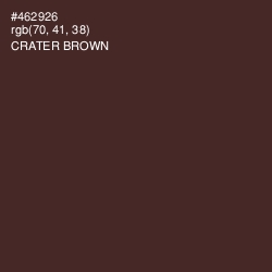 #462926 - Crater Brown Color Image